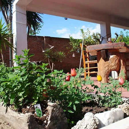 Casa Matisse فياريجيو